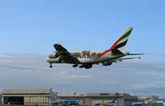 「くもり」? エミレーツ航空A380-861 動物愛護機　Landing