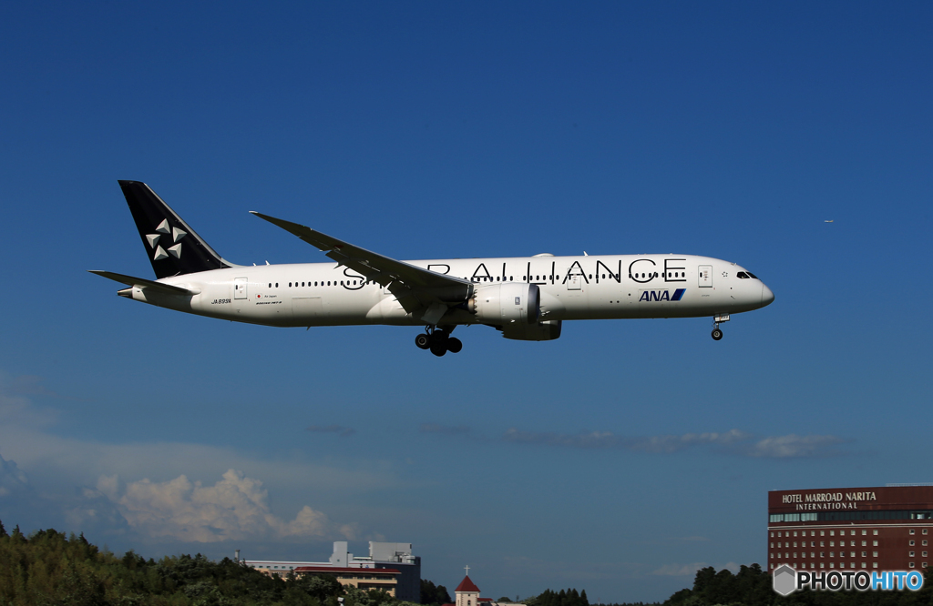 「群青」ANA スタアラ 787-9 JA899A 着陸