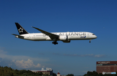 「群青」ANA スタアラ 787-9 JA899A 着陸
