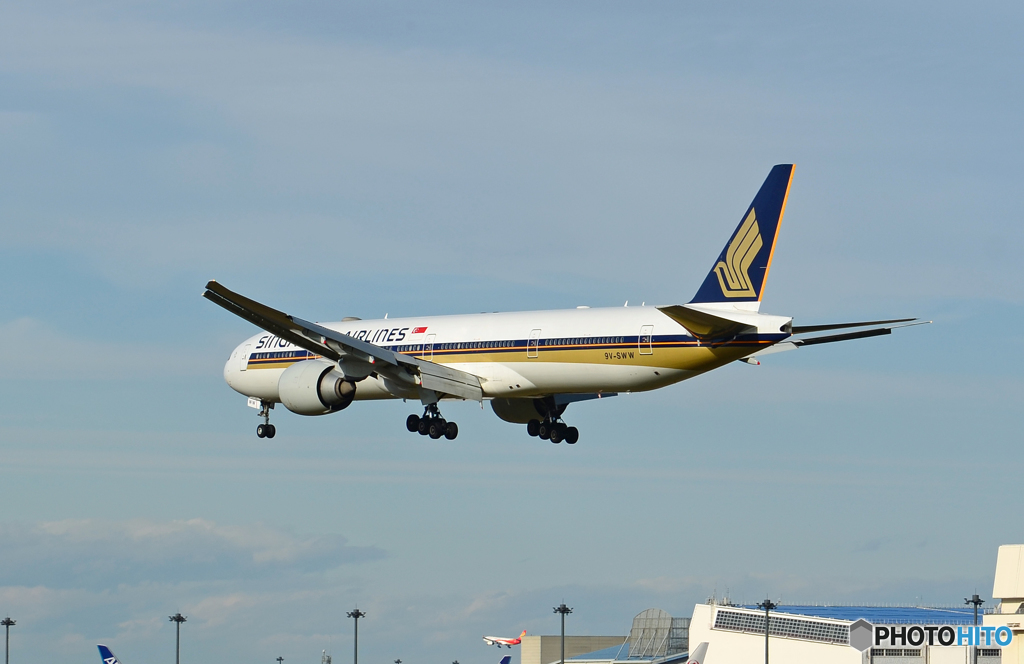 「ぶるー」 Singapore 777-300 9V-SWW 着陸します