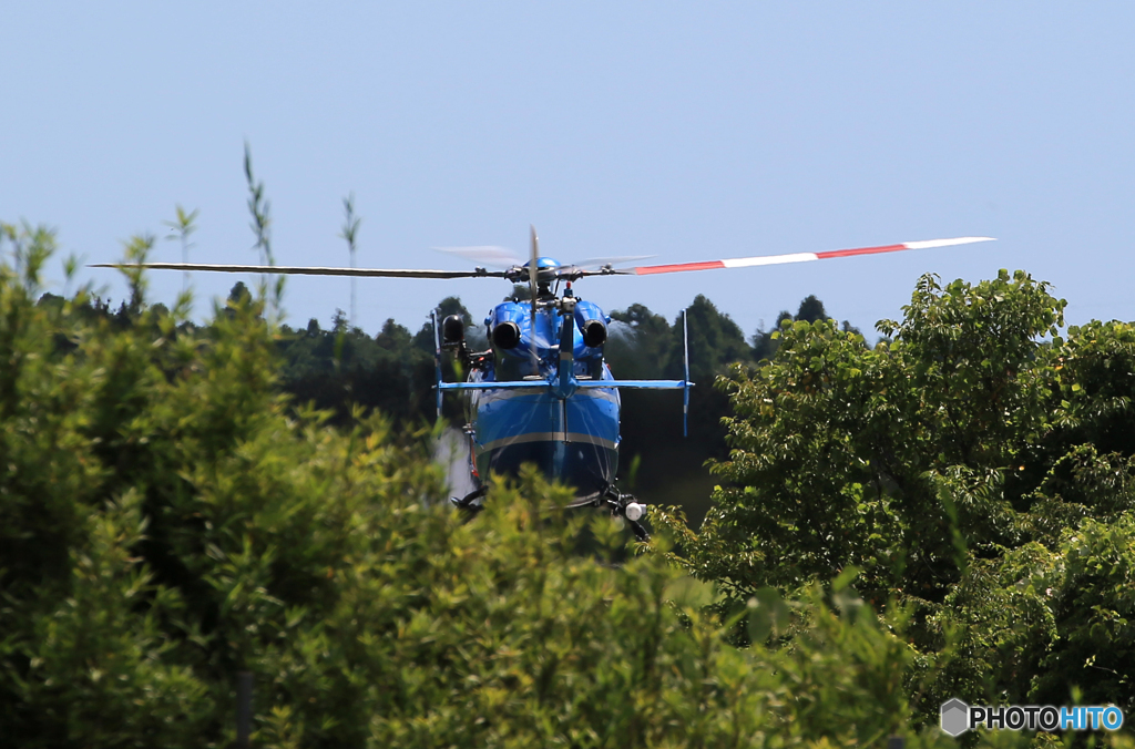 「すかい」お尻でスミマセン・今から空港警備に行きます？