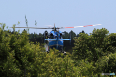 「すかい」お尻でスミマセン・今から空港警備に行きます？
