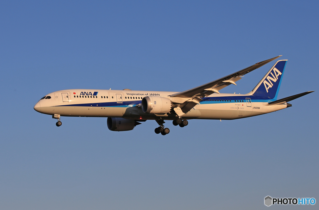 「群青」 ANA 787-9 JA839A Landing　