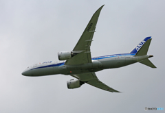 「良い空～」 ANA 787-8 JA828A 離陸