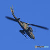 「そらー」陸上自衛隊ヘリコプター　コブラ　AH-1S 飛来する！
