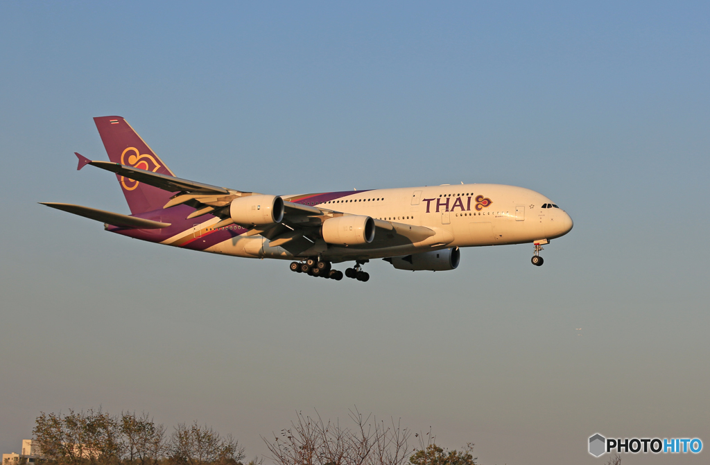「SKY」 THAI A380-841 HS-TUB Landing