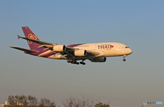 「SKY」 THAI A380-841 HS-TUB Landing