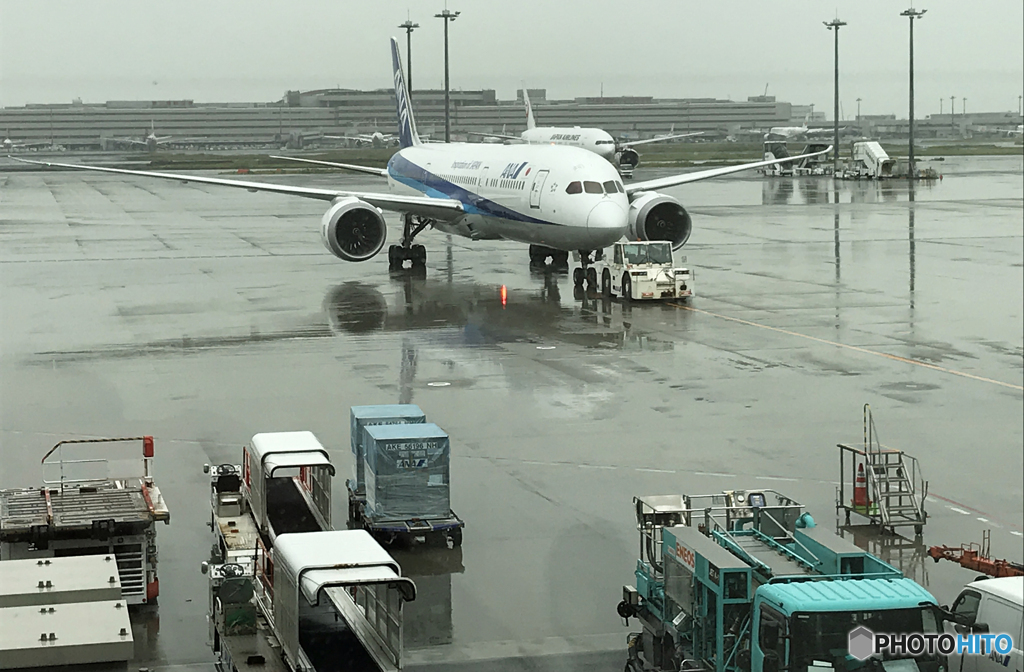「SKY」？　だが　羽田は雨でした