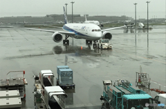 「SKY」？　だが　羽田は雨でした