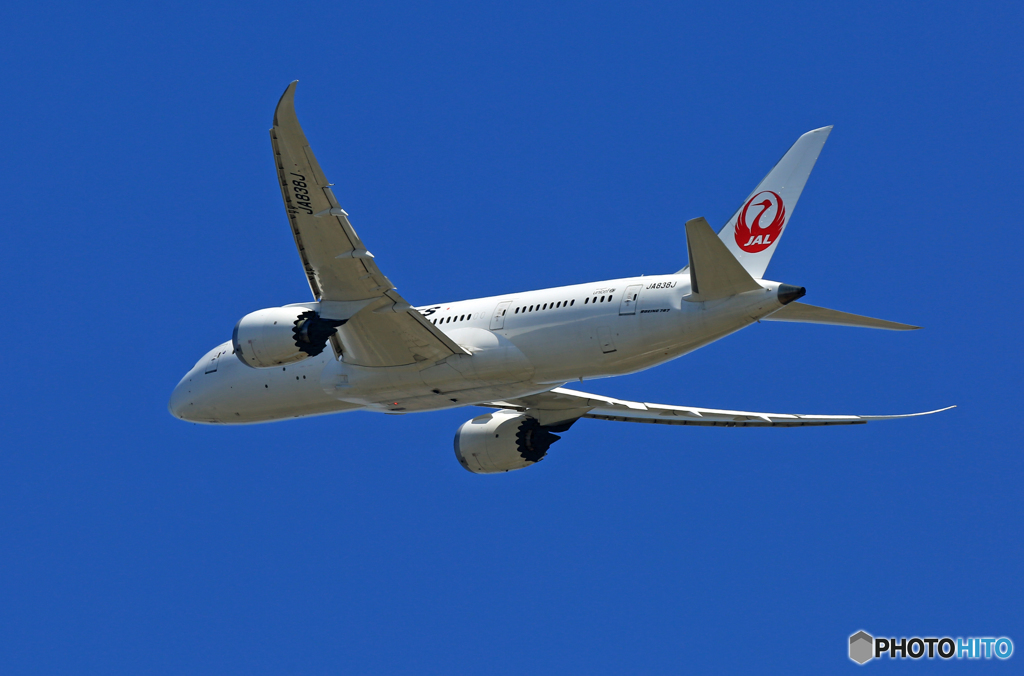 「すかい」 JAL 787-8 JA838J 飛び立ち