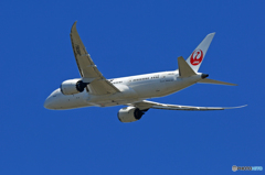 「すかい」 JAL 787-8 JA838J 飛び立ち