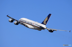 「あおぞら」Singapore A380-841 Takeoff 
