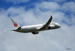 「あおいそら」 JAL 787-9 JA863J 出発です