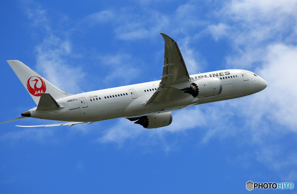 「SKY」 JAL 787-8 JA837J Takeoff