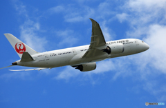 「SKY」 JAL 787-8 JA837J Takeoff