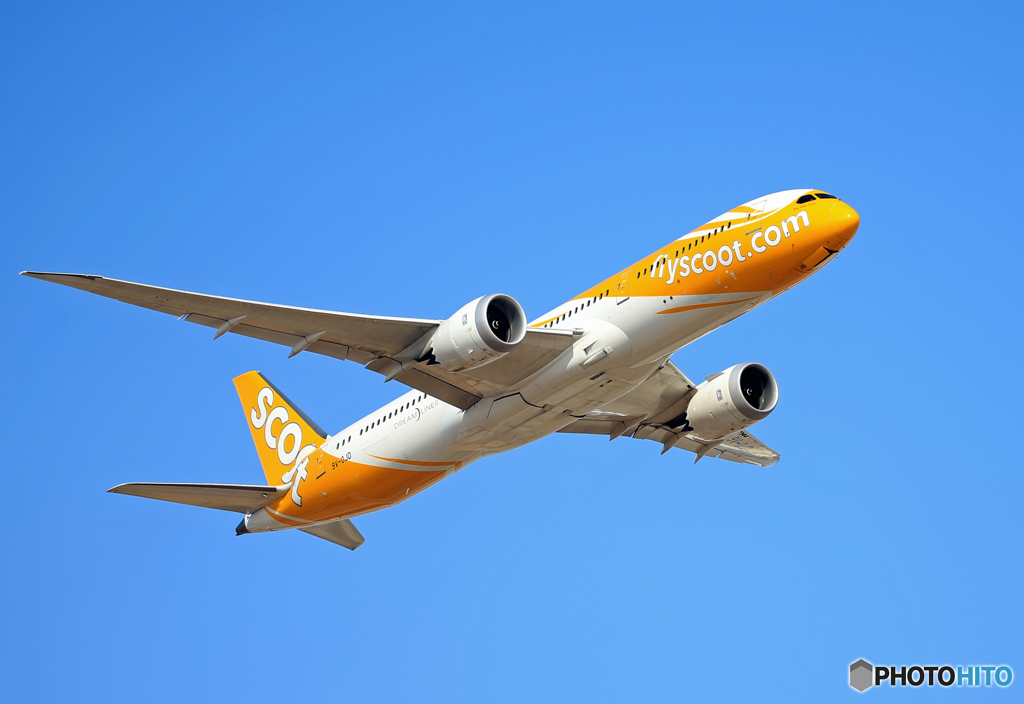 「Blue」 scoot 787-9 9V-OJD Takeoff 