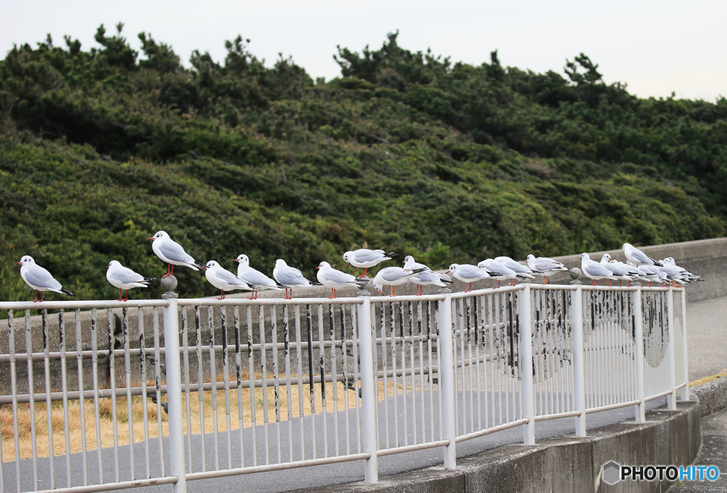「良い空～」ただいま　休憩中になりますね