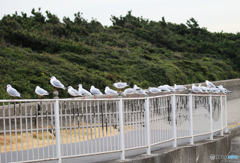「良い空～」ただいま　休憩中になりますね