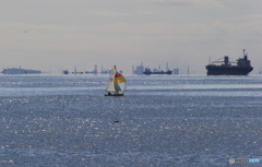 ☀「あおぞら」 ~東京湾を眺める~