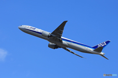 「青色が好き」ANA 777-381 JA783A  Takeoff 