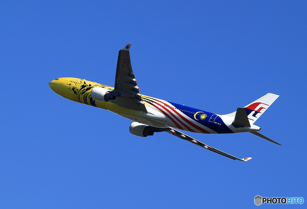 「良い空～」さくらの山・Airbusが　飛んだ　