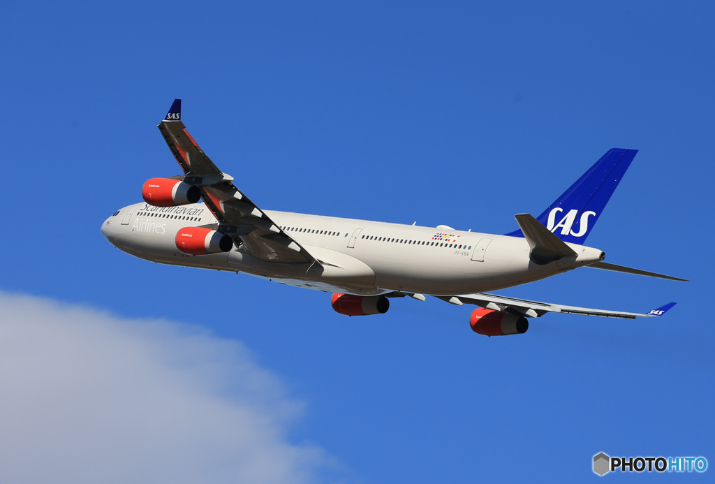 「青」☆スカンジナビア航空A340-313 OY-KBA飛行