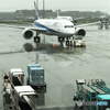 「Landing」羽田空港に　着いたら雨でした！