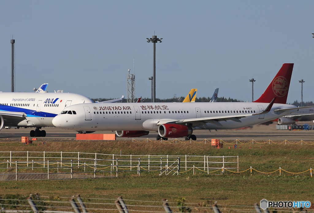 「あおぞら」吉祥航空A321-231 B-8407 Takeoff 