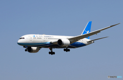 「青い日」アモイ航空787-8 B-2769 着地前