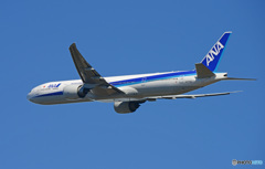 「すかい」 ANA 777-381 JA777A 離陸 します