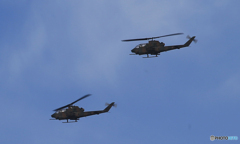 「青色が好き」ヘリコプター・コブラが来たぁ〜