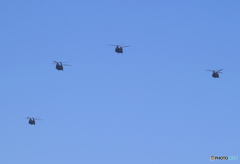 「群青色」☮ 日本を守る・JGSDF ヘリ ☮