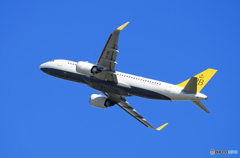 「蒼空」ロイヤルブルネイ王国A320 飛んだ