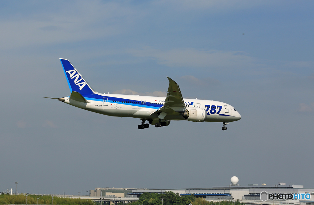「ぶるー」 ANA 787-8 JA822A 到着です