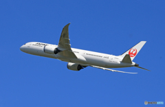 「青い日」JAL 787-9 JA868J Takeoff