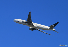 「青い日」スタアラ 777-381 JA781A  離陸