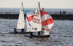 「すかい」 東京湾　と　ヨット　　
