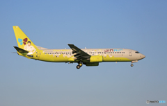 「SKY」 JIN AIR 737 HL7556 Landing