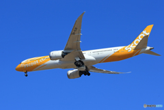 「群青」 Scoot 787-9 9V-OJG 飛行