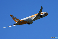 「そらー」SCOOT 787 9V-OFE 離陸