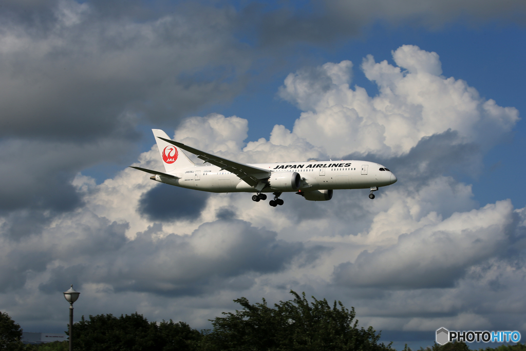 「はれ」  JAL 787-8   JA836J 着陸 