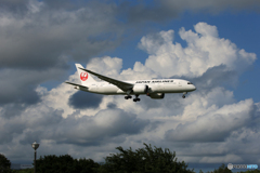 「はれ」  JAL 787-8   JA836J 着陸 