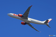  「晴れ」 Lion Air A330-941 HS-LAL 離陸