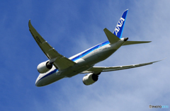 「青」 ANA 787-8 JA832A 離陸します