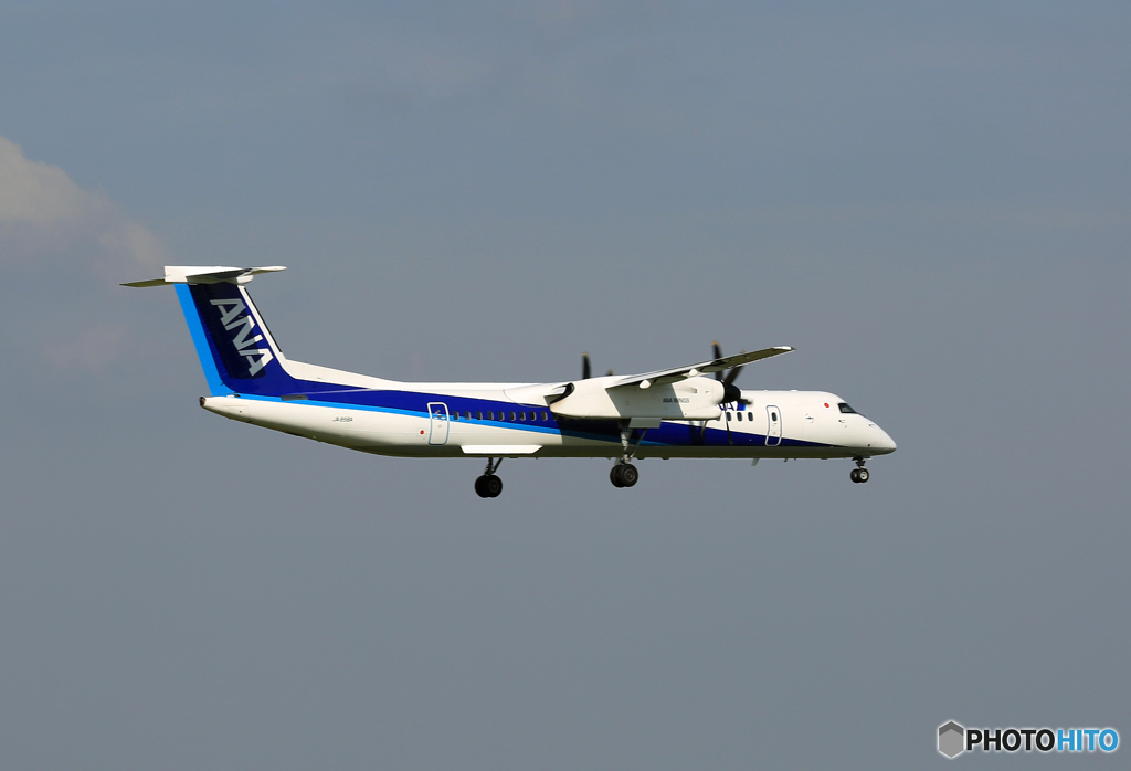 「良い天気」 ANA DHC-8-400 JA856A 来た～