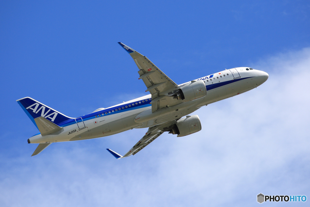 「青が大好き」 ANA A320-271N JA215A 離陸