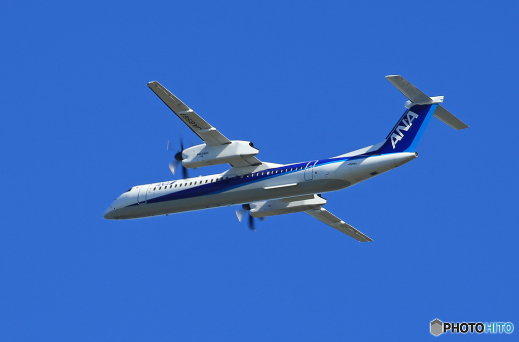 「群青」 ANA DHC-8-400 JA856A 飛ぶ