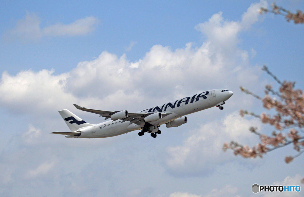 ✈Sakuraの季節・Finnairの懐かしい機体✈