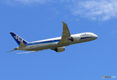☀「青い空」が一番 ANA 787-9 飛び立ちです