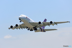 「青が大好き」 THAI A380-841 HS-TUE 離陸